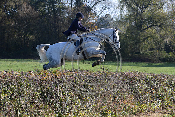 Worcestershire_Hunting_20PN_121248