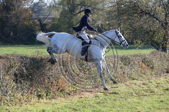 Worcestershire_Hunting_20PN_121252