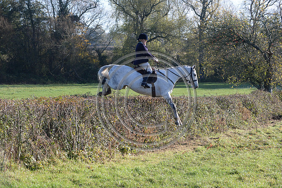 Worcestershire_Hunting_20PN_121309