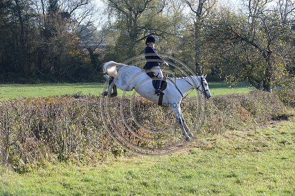 Worcestershire_Hunting_20PN_121310
