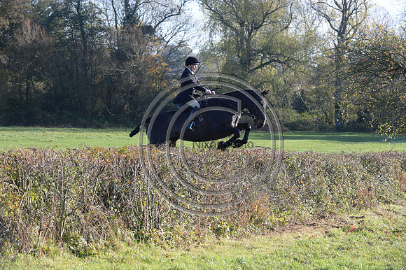 Worcestershire_Hunting_20PN_121179