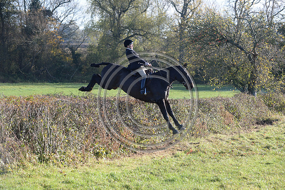 Worcestershire_Hunting_20PN_121182