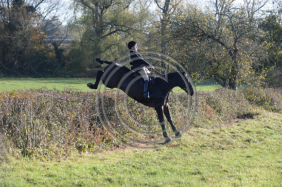 Worcestershire_Hunting_20PN_121183