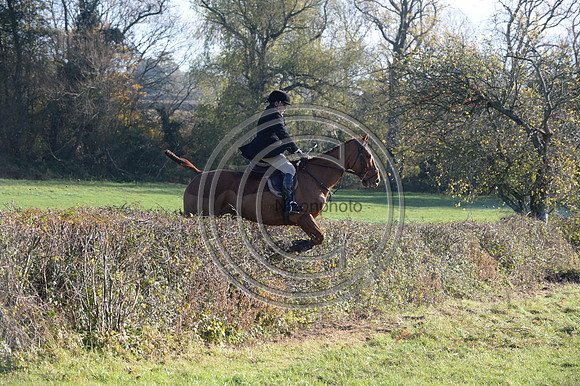 Worcestershire_Hunting_20PN_121197