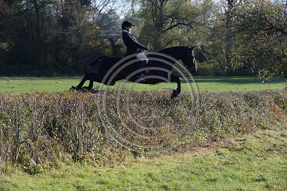 Worcestershire_Hunting_20PN_121288