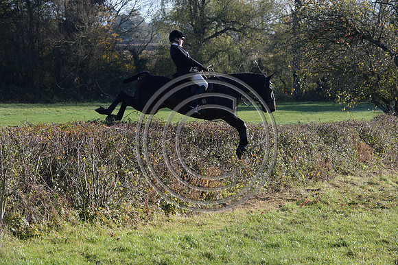 Worcestershire_Hunting_20PN_121289