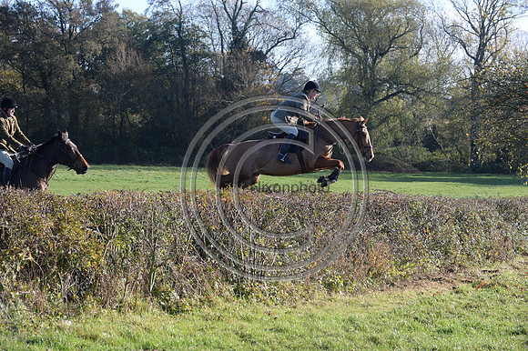 Worcestershire_Hunting_20PN_121272