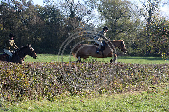 Worcestershire_Hunting_20PN_121273
