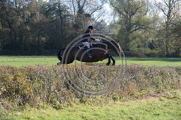 Worcestershire_Hunting_20PN_121265