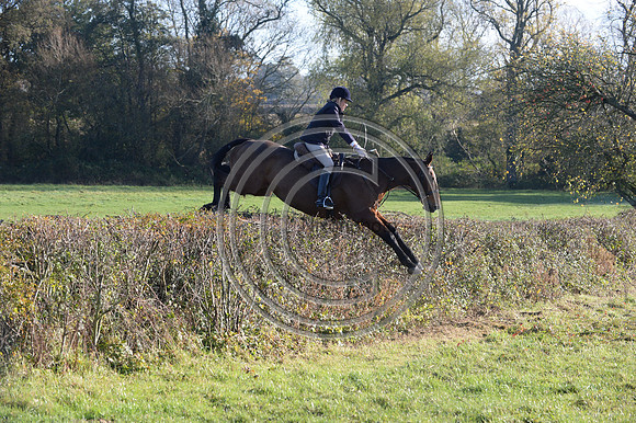 Worcestershire_Hunting_20PN_121267