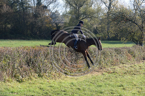 Worcestershire_Hunting_20PN_121268