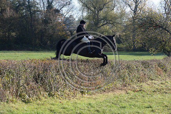 Worcestershire_Hunting_20PN_121294