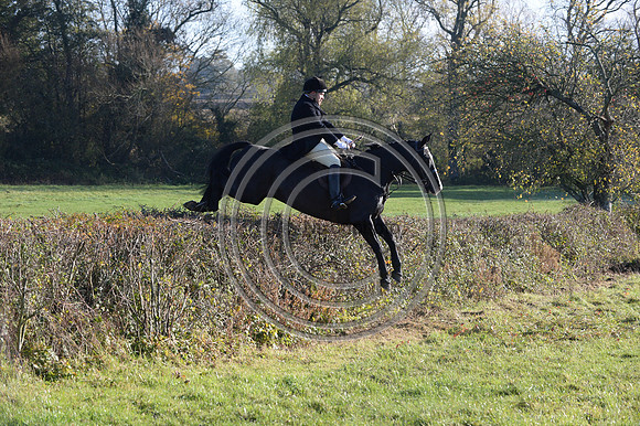 Worcestershire_Hunting_20PN_121295