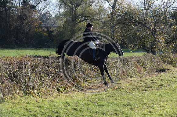 Worcestershire_Hunting_20PN_121296