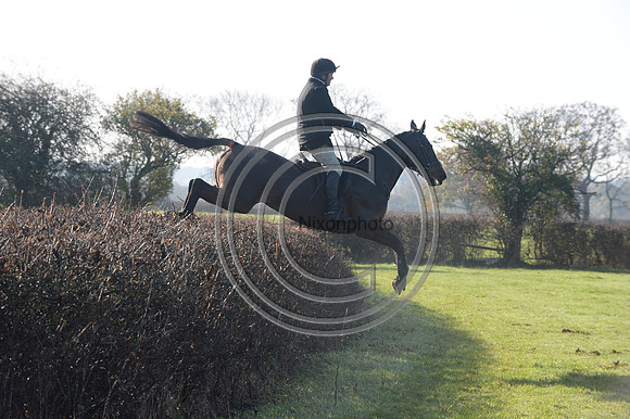 Worcestershire_Hunting_20PN_121191