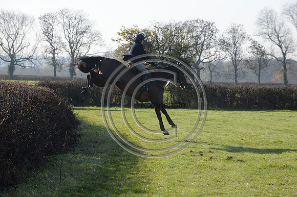 Worcestershire_Hunting_20PN_121230