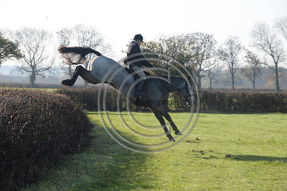 Worcestershire_Hunting_20PN_121209