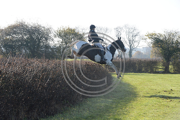 Worcestershire_Hunting_20PN_121261