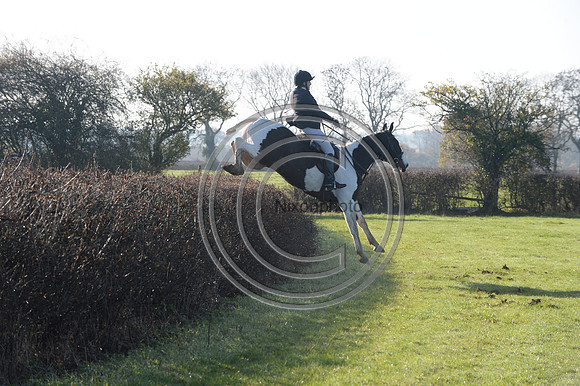 Worcestershire_Hunting_20PN_121262