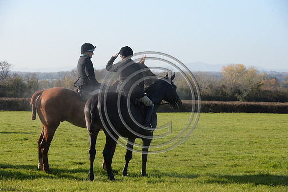 Worcestershire_Hunting_20PN_121162