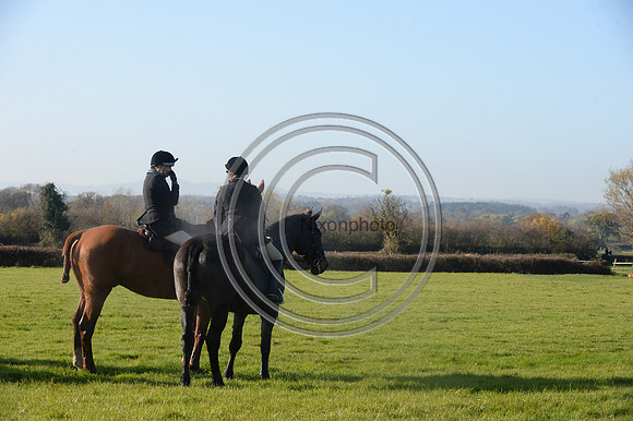 Worcestershire_Hunting_20PN_121163