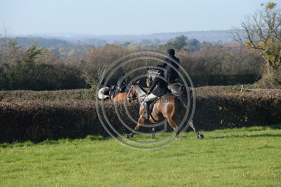 Worcestershire_Hunting_20PN_121374