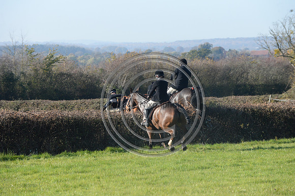 Worcestershire_Hunting_20PN_121375