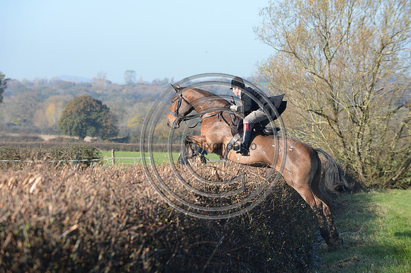 Worcestershire_Hunting_20PN_120940