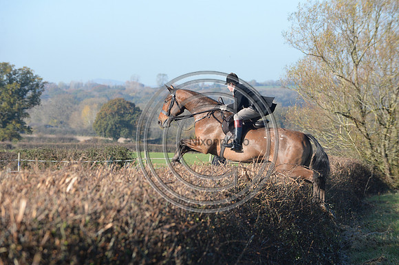 Worcestershire_Hunting_20PN_120941