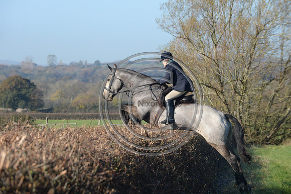 Worcestershire_Hunting_20PN_121210
