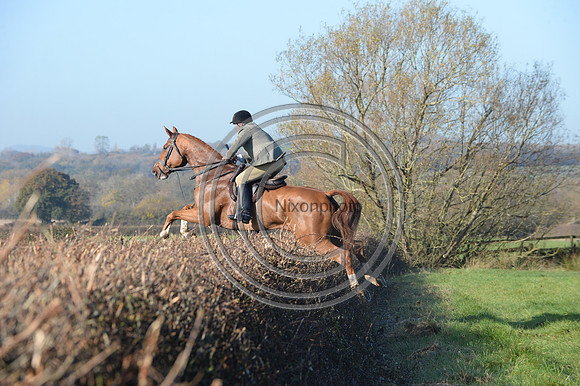 Worcestershire_Hunting_20PN_121245