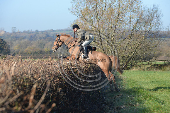 Worcestershire_Hunting_20PN_121274