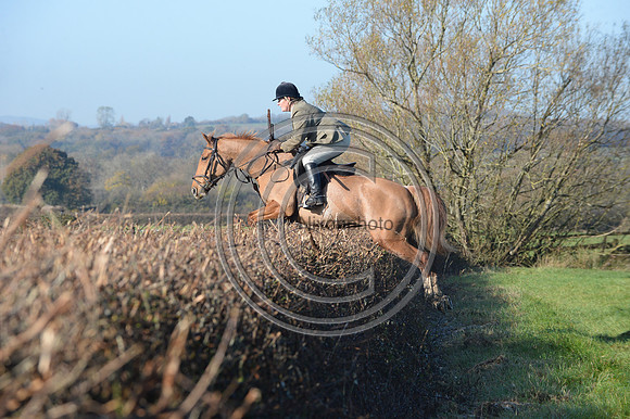Worcestershire_Hunting_20PN_121275