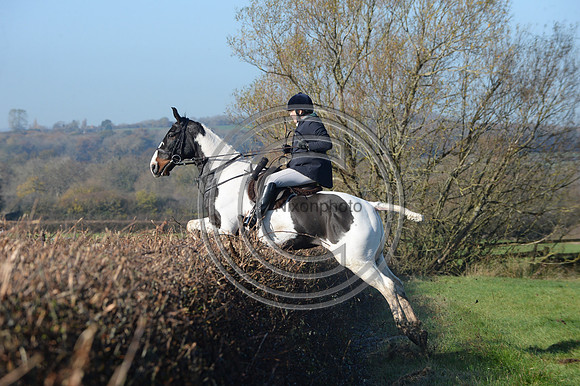 Worcestershire_Hunting_20PN_121263