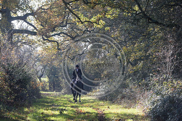 Worcestershire_Hunting_20PN_121352