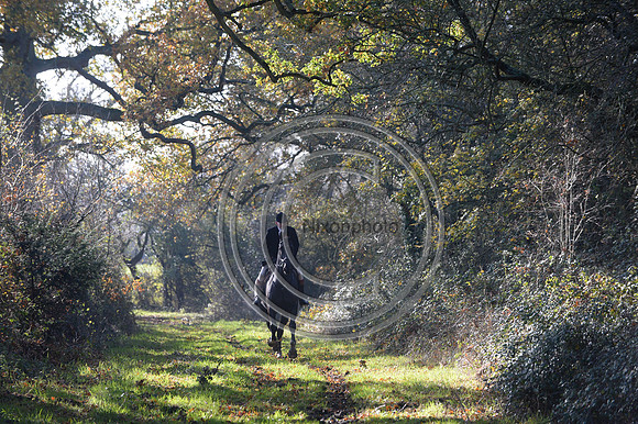 Worcestershire_Hunting_20PN_121353