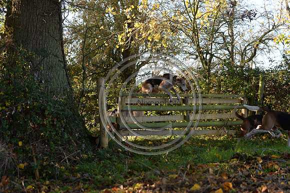 Worcestershire_Hunting_20PN_120942