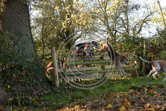 Worcestershire_Hunting_20PN_120945