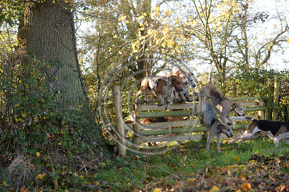 Worcestershire_Hunting_20PN_120946