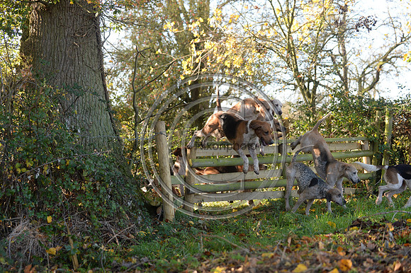 Worcestershire_Hunting_20PN_120947