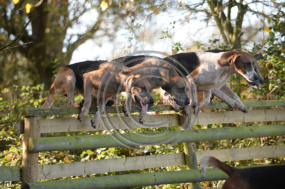 Worcestershire_Hunting_20PN_120948