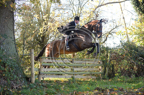 Worcestershire_Hunting_20PN_121174