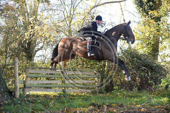 Worcestershire_Hunting_20PN_121176