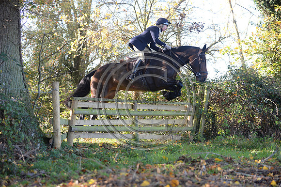 Worcestershire_Hunting_20PN_121188