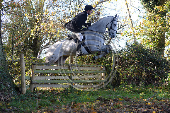 Worcestershire_Hunting_20PN_121194