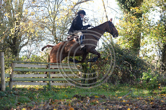 Worcestershire_Hunting_20PN_121196