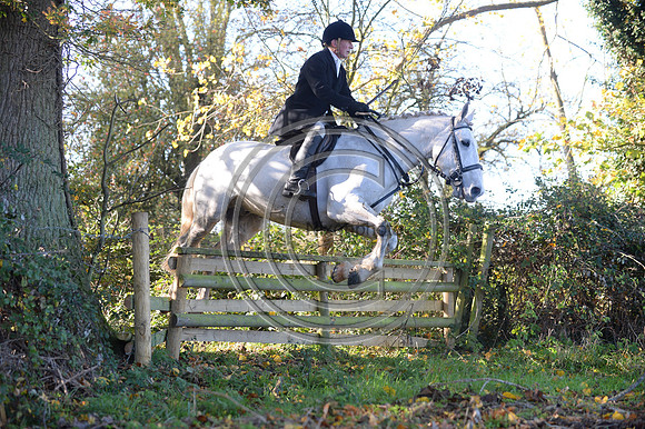 Worcestershire_Hunting_20PN_120863