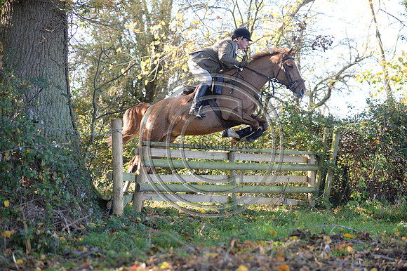 Worcestershire_Hunting_20PN_120866