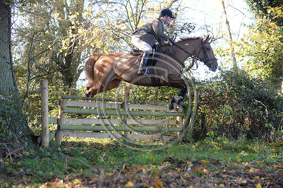 Worcestershire_Hunting_20PN_121276