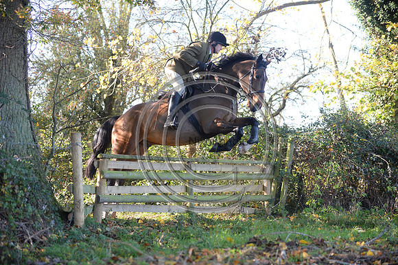 Worcestershire_Hunting_20PN_120867